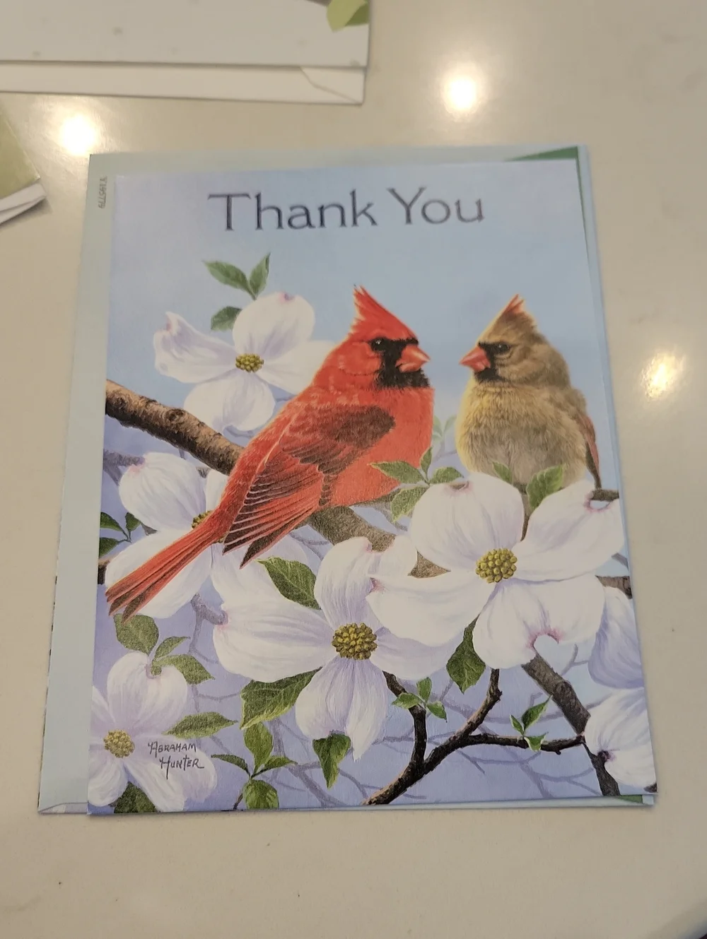 New! Assorted Bird Card Bundle